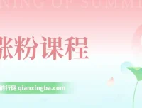 抖音快手公众号涨粉课程：助力小白上手，实现日入500+