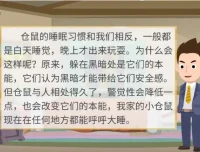 云舒写小学5-6年级写作素材课程：提升写作能力的系统课程