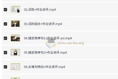 考虫零基础语法班：王琢Leo主讲