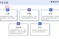 黄岛主抖音王者荣耀游戏变现副业兼职实操课程