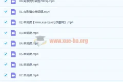 付炫屿《10小时突破高考单词》英语课程