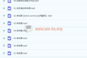 付炫屿《10小时突破高考单词》英语课程