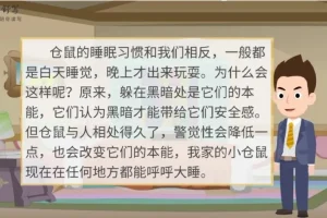 云舒写小学5-6年级写作素材课程：提升写作能力的系统课程