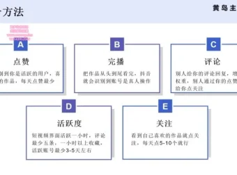 黄岛主抖音王者荣耀游戏变现副业兼职实操课程