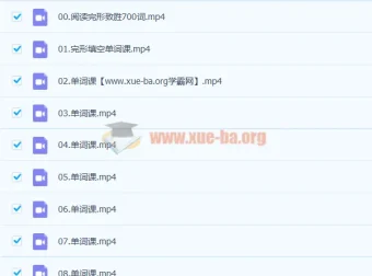 付炫屿《10小时突破高考单词》英语课程