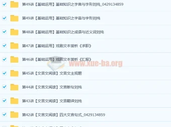 重点中学语文应试指南50讲带讲义（完结）