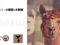 《AI大模型微调实战：8周掌握前沿技术与深度应用开发指南》