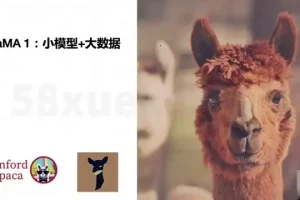 《AI大模型微调实战：8周掌握前沿技术与深度应用开发指南》