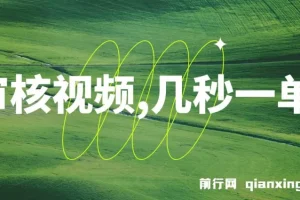 审核视频兼职项目：几秒一单，多劳多得，新人小白日赚300+