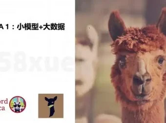 《AI大模型微调实战：8周掌握前沿技术与深度应用开发指南》