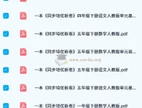 《一本小学同步培优新卷》下册（人教版）