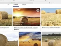 刘一男《零基础4000词英语速成》+《西游记语法精讲》英语课程