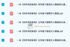 《一本小学同步培优新卷》下册（人教版）