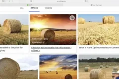 刘一男《零基础4000词英语速成》+《西游记语法精讲》英语课程