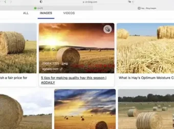 刘一男《零基础4000词英语速成》+《西游记语法精讲》英语课程