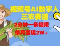 视频号AI数字人：玩转三农赛道项目介绍