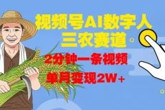 视频号AI数字人：玩转三农赛道项目介绍