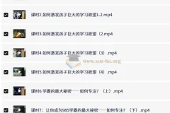 985逆袭学习方法与提分经验课程