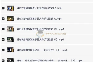 985逆袭学习方法与提分经验课程