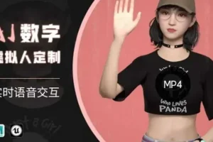 Ai数字人语音交互特训营：定制写实智能体角色课程