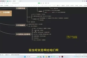 创作猫保姆级掘金计划：新手3天上手，实现丰富收益