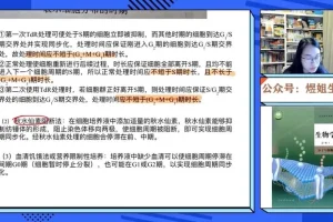 2024高一生物必修一系统课：煜姐精讲与题型突破