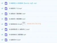 2024届高考日语一轮复习全程班：全部语法归纳复习