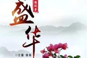完结有声小说《盛华》：465集演绎精彩古代传奇