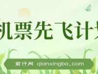 2024暑假赚钱项目：机票先飞计划，小红书闲鱼暴力引流实操