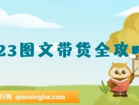 超火图文带货全攻略：从0-1打造图文书单项目课程