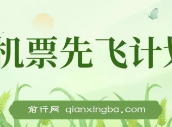 2024暑假赚钱项目：机票先飞计划，小红书闲鱼暴力引流实操