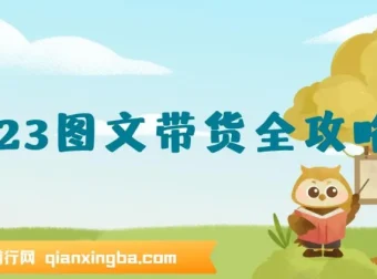 超火图文带货全攻略：从0-1打造图文书单项目课程