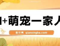 AI+萌宠一家人：小白3步上手，轻松实现萌宠AI变现课程