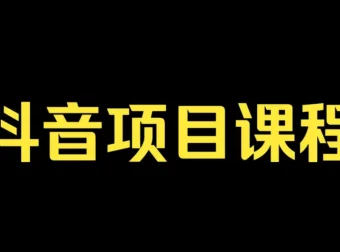 肖掌柜抖音孵化训练课程：教你玩转抖音网络与电商