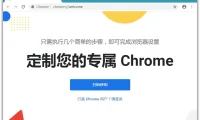 Google Chrome 绿色便携版 v127.0.6533.120 Stable