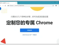 Google Chrome 绿色便携版 v127.0.6533.120 Stable
