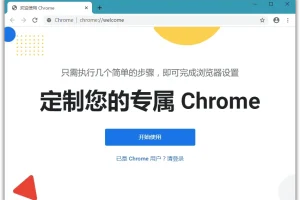 Google Chrome 绿色便携版 v127.0.6533.120 Stable