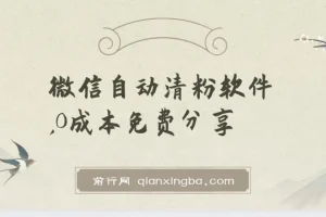 微信自动清粉软件：免费多功能实用工具