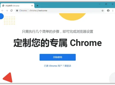 Google Chrome 绿色便携版 v127.0.6533.120 Stable