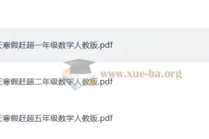 《少年素质教育报：小学数学14天寒假赶超》PDF