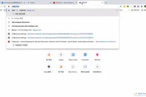 Daniel老师独立站跨境电商实战课程