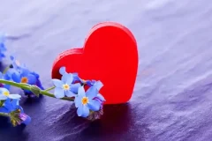 有道精品课《恋爱心理学》：科学解读亲密关系与情感经营