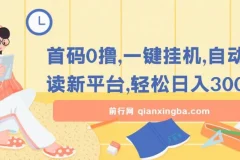 首码0撸：一键挂机自动阅读新平台项目介绍