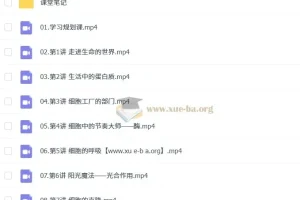 安智深 2026高一生物尖端暑假班（更新中）