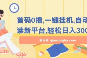 首码0撸：一键挂机自动阅读新平台项目介绍