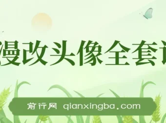 AI漫改头像实操变现全套课程：小白轻松上手