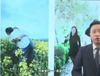 KTV抖音营销全攻略课程：从定位到爆款的引流订房秘籍