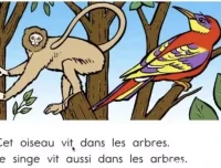 顶点教育少儿法语课：加拿大专家亲授，助力6 – 15岁青少年法语启蒙与进阶