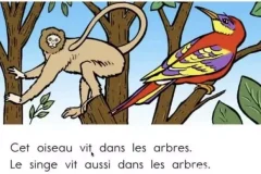 顶点教育少儿法语课：加拿大专家亲授，助力6 – 15岁青少年法语启蒙与进阶