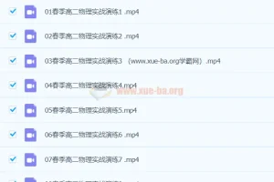 刘纹岩2024高二物理春季班课程